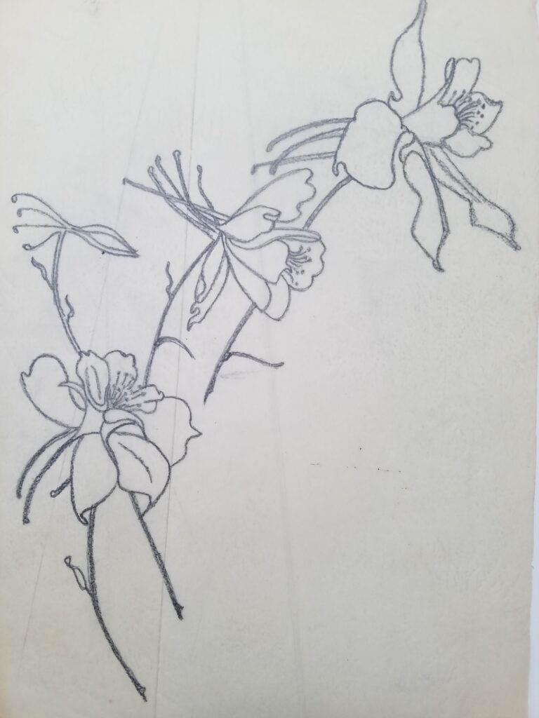 Drawings 21 Pencil sketch of wildflowers