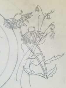 Pencil sketch of wildflowers