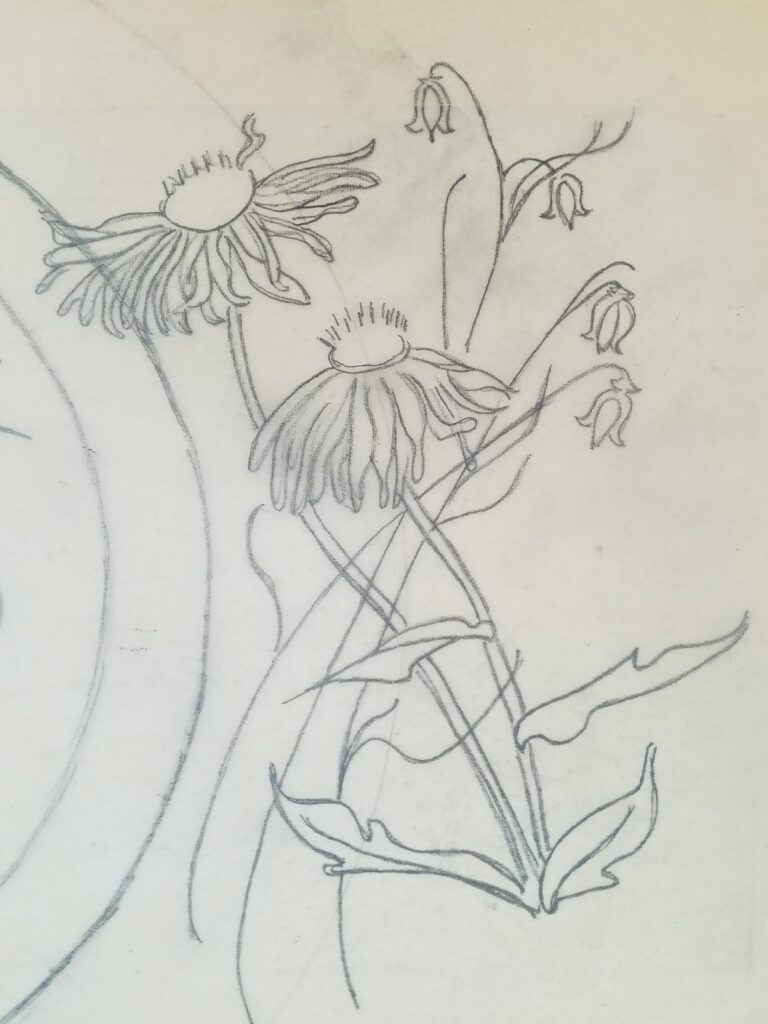Drawings 20 Pencil sketch of wildflowers