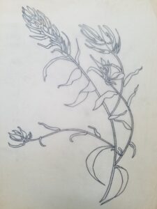 Pencil sketch of wildflowers