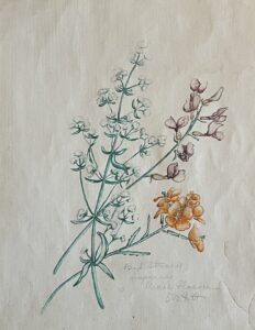 Watercolor of flowers
