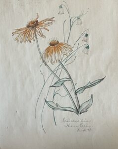 Watercolor of flowers