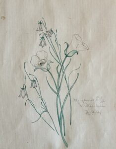 Watercolor of several types of flowers