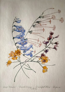 Watercolor painting of wallflowers, beard tongue, trumpet, and alpine flowers